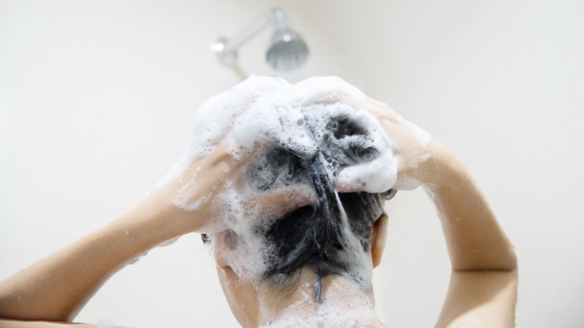 4 Rekomendasi Shampoo Tea Tree Oil, Kulit Kepala Bebas Ketombe dan Gatal
