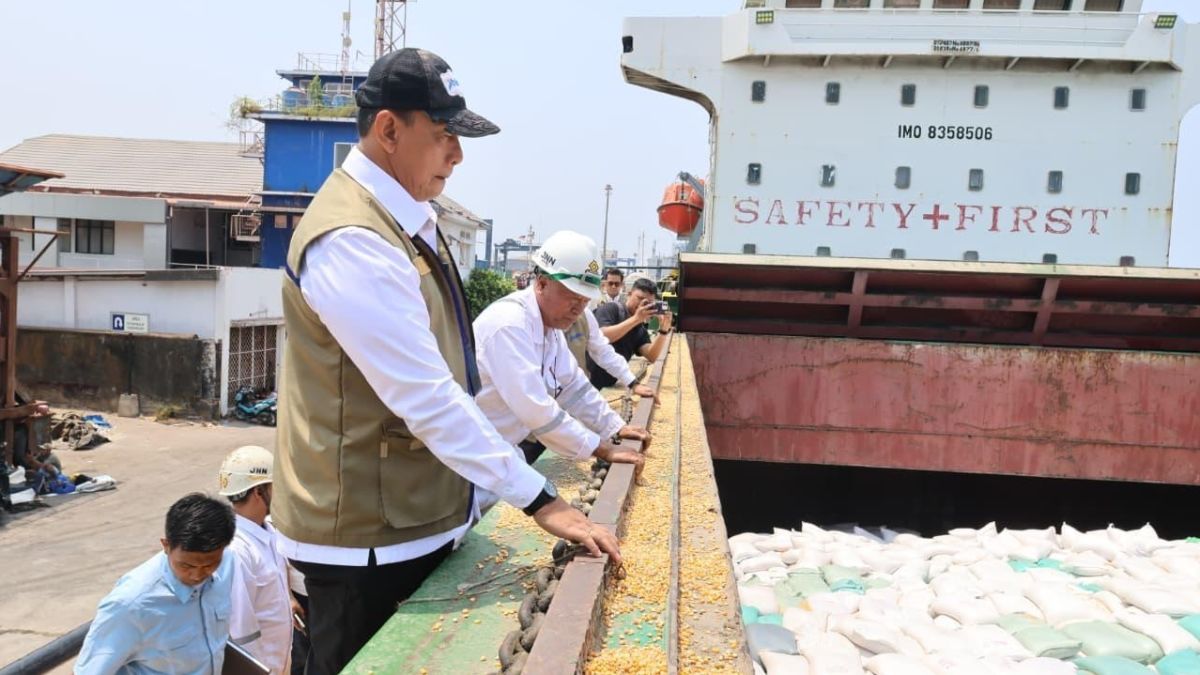 Bulog Percepat Pengiriman 10 Ribu Ton Jagung ke Jawa, Dirut Tinjau Langsung Pemuatan di Kapal