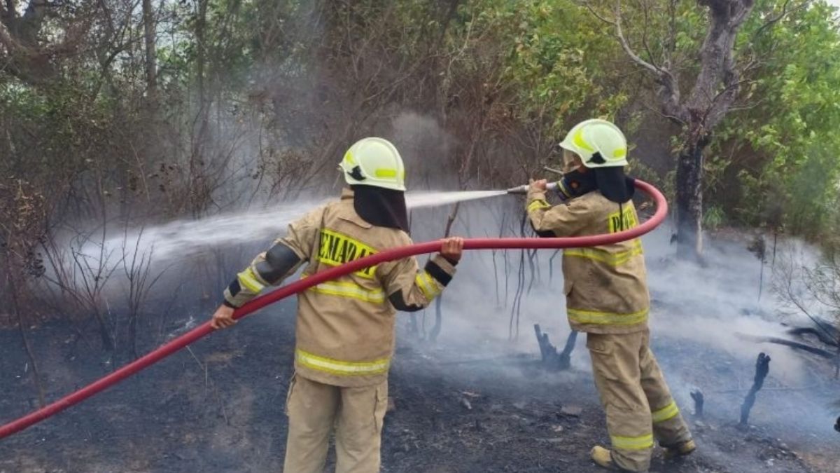 Puntung Rokok Diduga Picu Kebakaran Lahan di Pulau Tidung