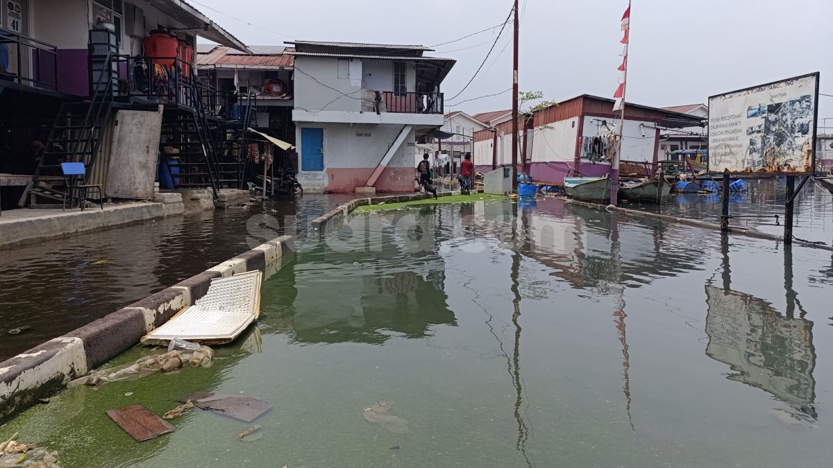 Banjir Rob Rendam Muara Angke Hampir Setiap Hari, Ketinggian Air Capai 60 Sentimeter