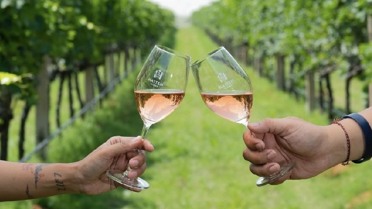 Ada Wine Asli Bali di Balik Pesona Pulau Dewata, Begini Karakter Rasa dari Kebun Tropisnya