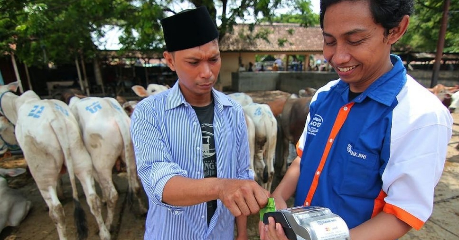 Tabel KUR BRI Terbaru, Syarat Mengajukan Pinjaman Tanpa Agunan