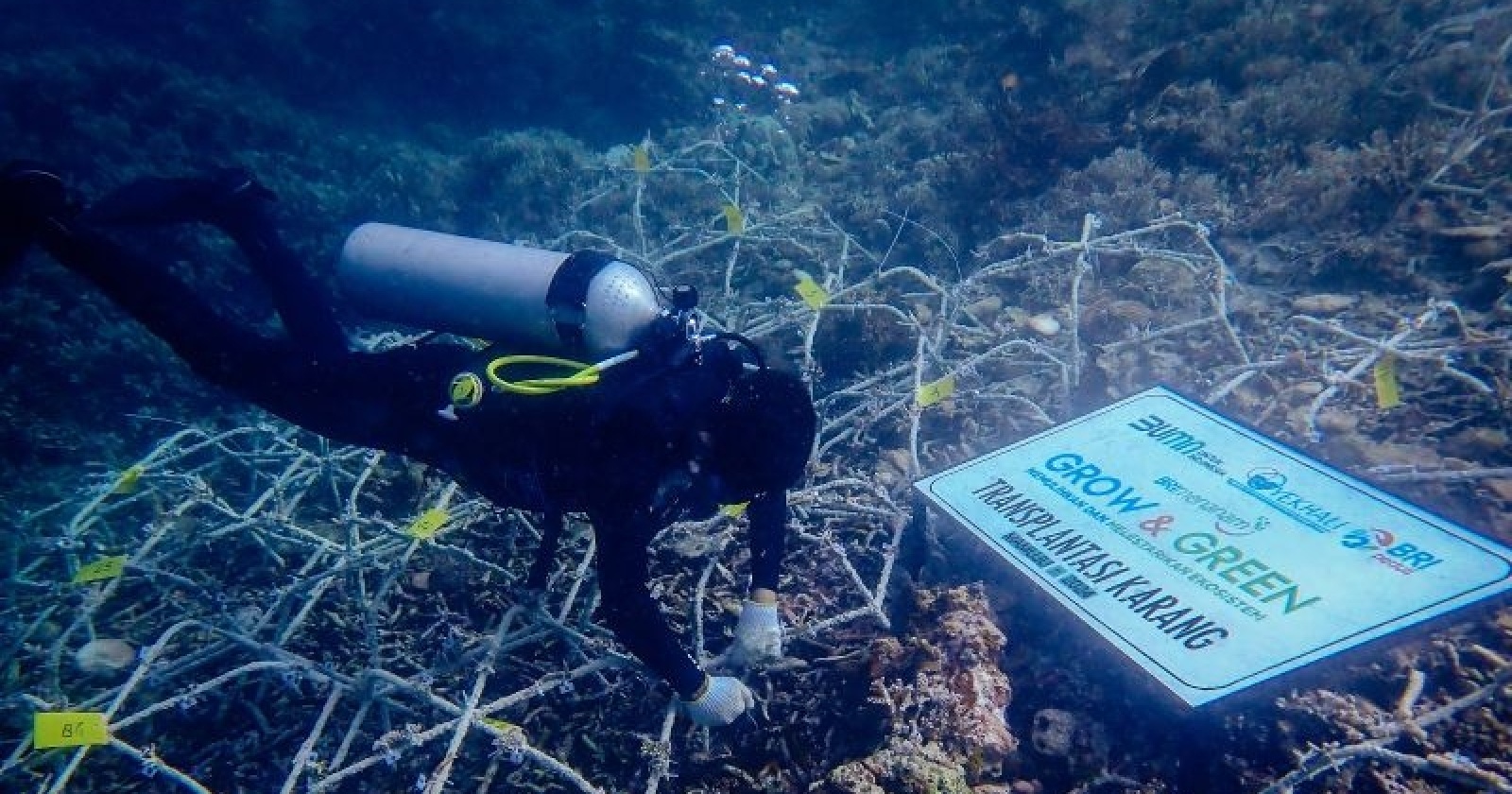 BRI Dukung Pelatihan Sadar Wisata Hingga Sertifikasi, Masyarakat Ujung Bulo Makin Mandiri