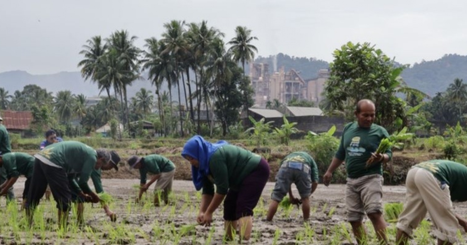 BRI Catat Perbaikan Signifikan Bisnis UMKM, Sektor Pertanian Jadi Penopang