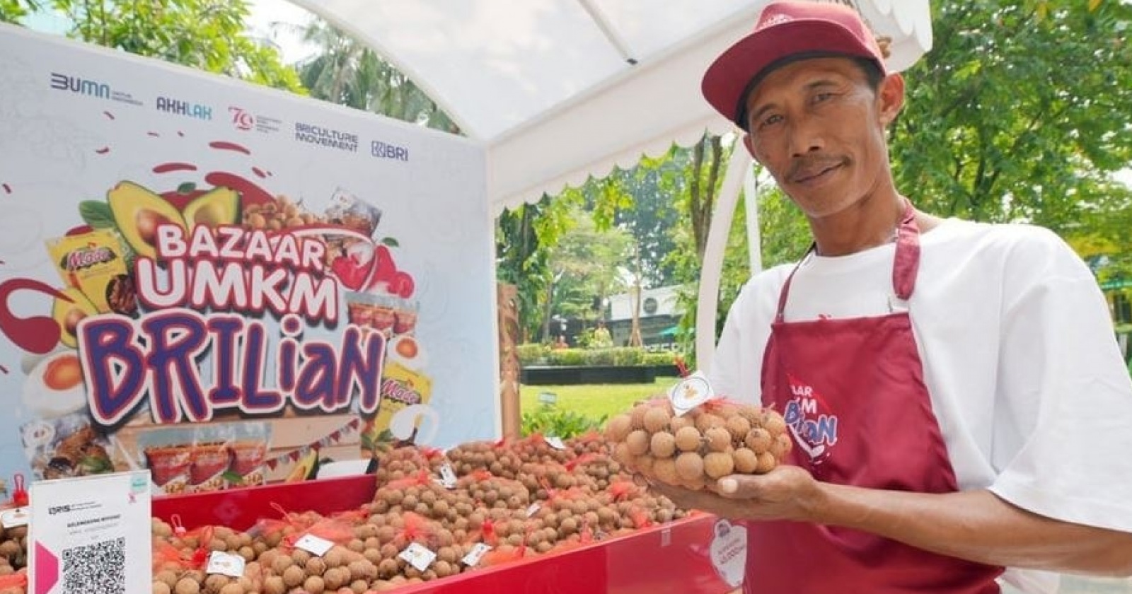 Panen Untung Didukung BRI, Petani Kelengkeng Tuban Sukses Kembangkan New Kristal