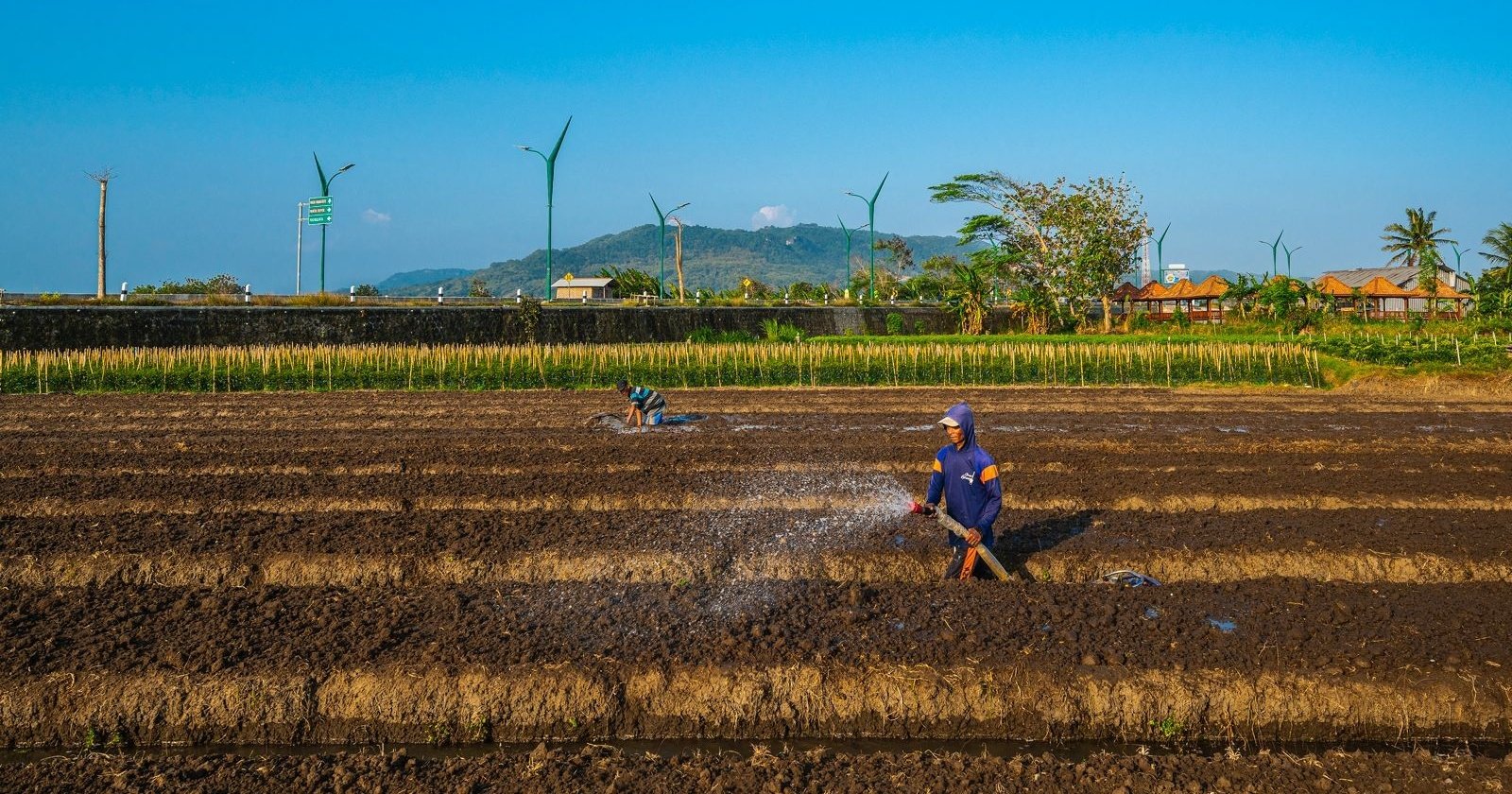 BRI Genjot Ekonomi Hijau, Salurkan Green Loan Hingga Rp86,6 Triliun