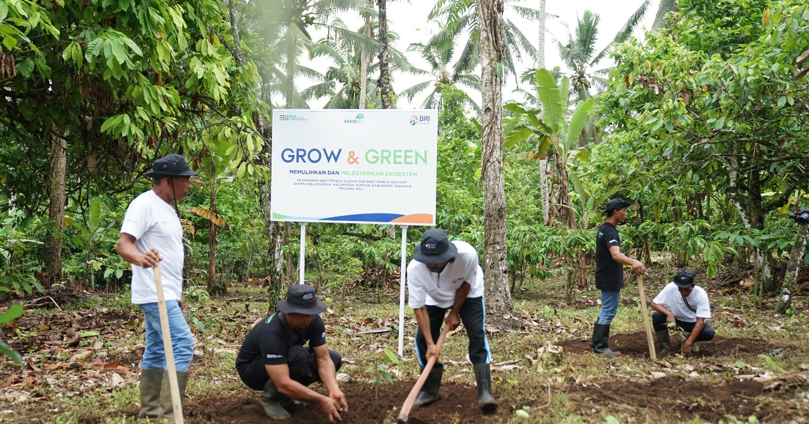 Tanam Mangrove Hingga Pohon Produktif, BRI Berkomitmen Hijaukan Indonesia