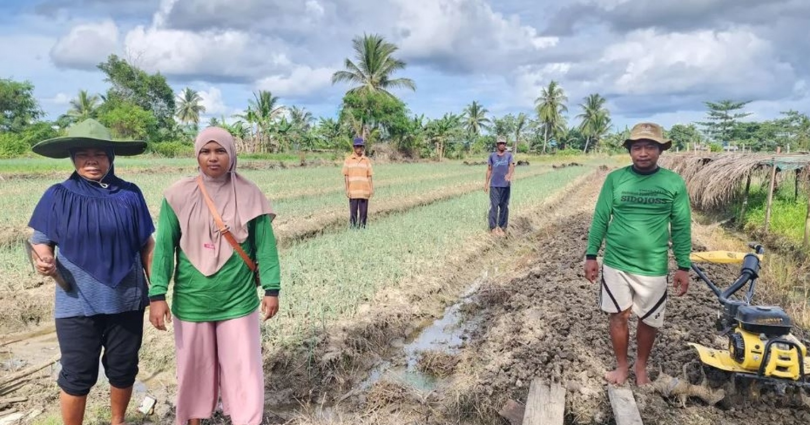 Dari Isano Mbias untuk Indonesia: BRI Dukung Petani Lokal Berdaya, Swasembada Pangan Terjaga