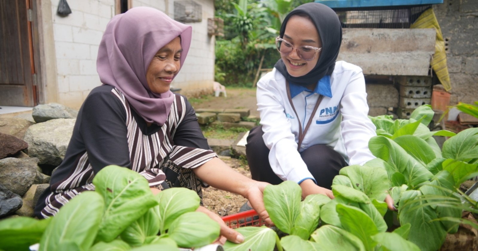 Dari PNM ke BRI, Perjalanan 1,84 Juta Nasabah Naik Kelas Berkat Holding UMi