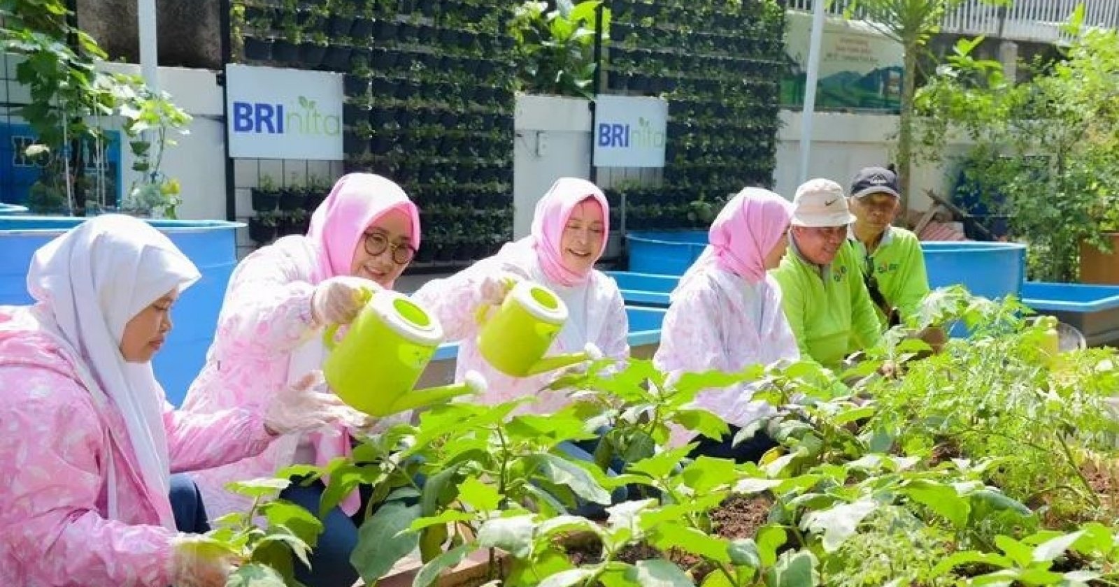 BRInita Berdayakan Ibu-Ibu PKK Sudirejo I Lewat Urban Farming, BRI Peduli Beri Dukungan