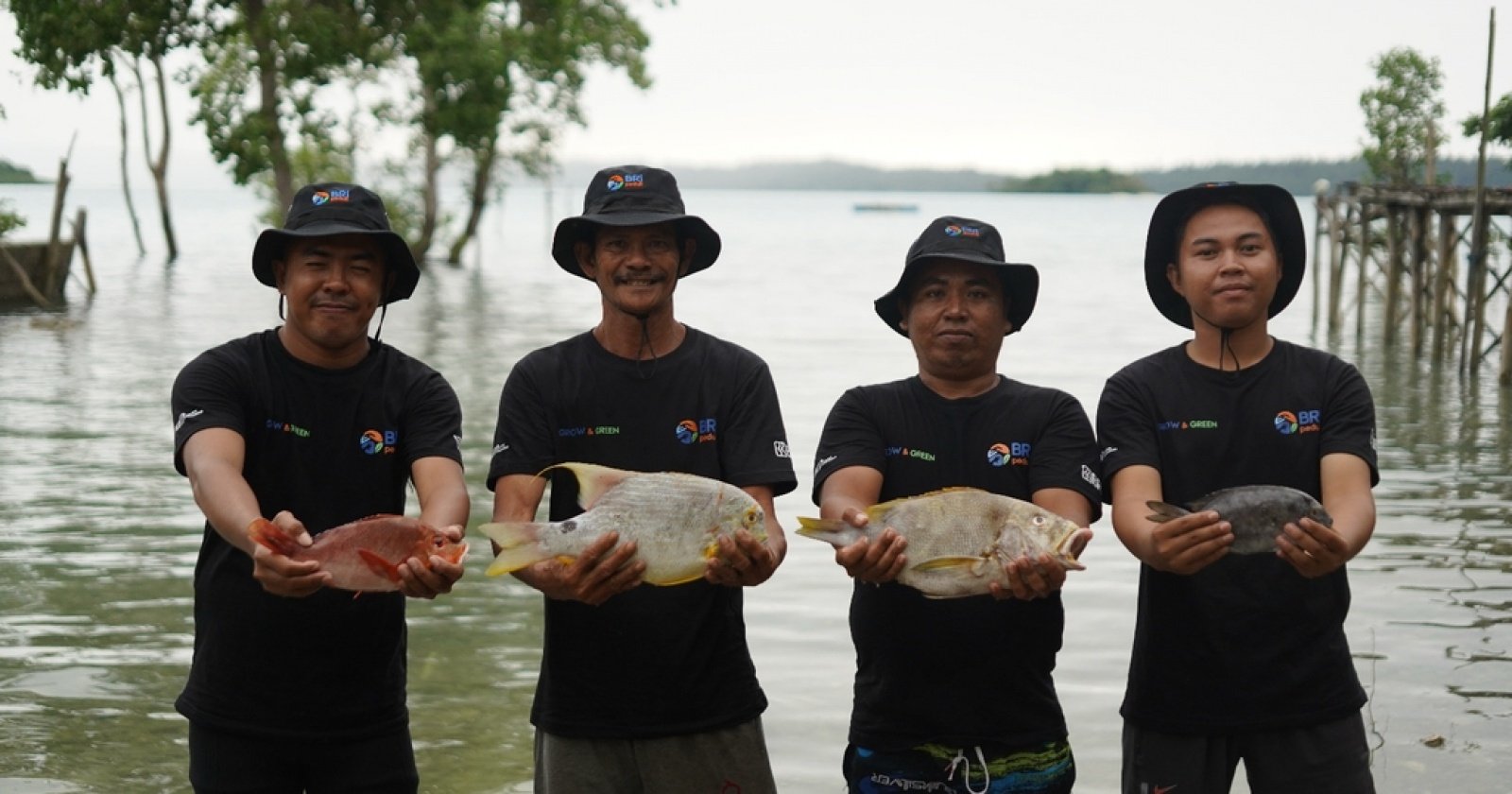 Dari BRI Peduli untuk Maratua: Terumbu Karang Sehat, Nelayan Sejahtera