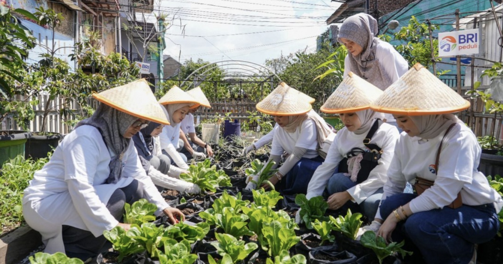 BRInita BRI Berhasil Tingkatkan Kemandirian Ekonomi Perempuan di Lahan Terbatas
