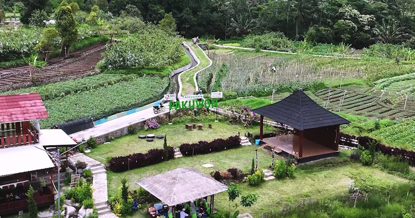 Desa Pajambon Bersinar: Dari Kebun Jambu hingga Agrowisata, Menjadi Inspirasi Desa BRILiaN Indonesia