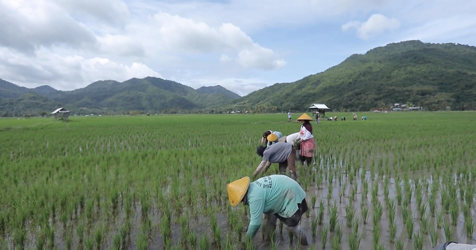 BRI Dorong Ekonomi Desa Manemeng, Semangat Marenta Barmak Hidupkan UMKM & Klaster Usaha