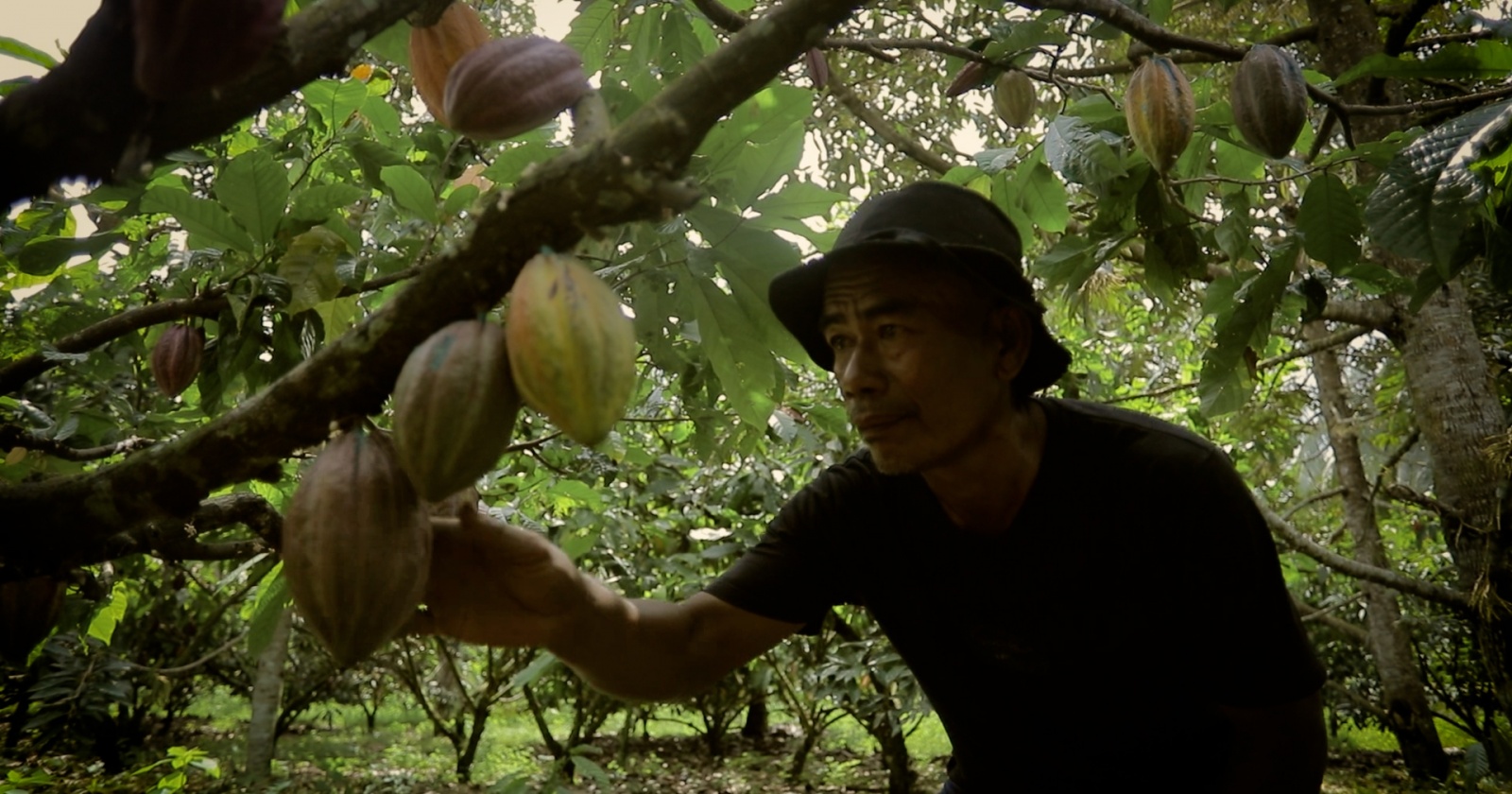 Sentuhan BRI Dorong Sausu Tambu Jadi Desa Berdaya Berbasis Pariwisata dan UMKM