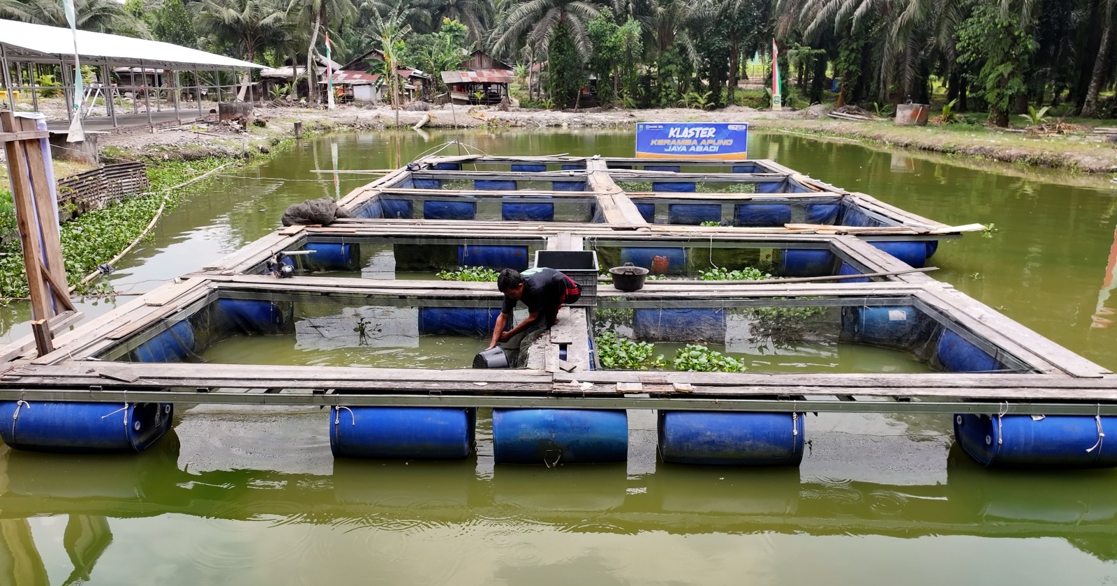 UMKM Ting Ting Jahe dan Kerambah Apung Jadi Motor Ekonomi Desa Empang Baru