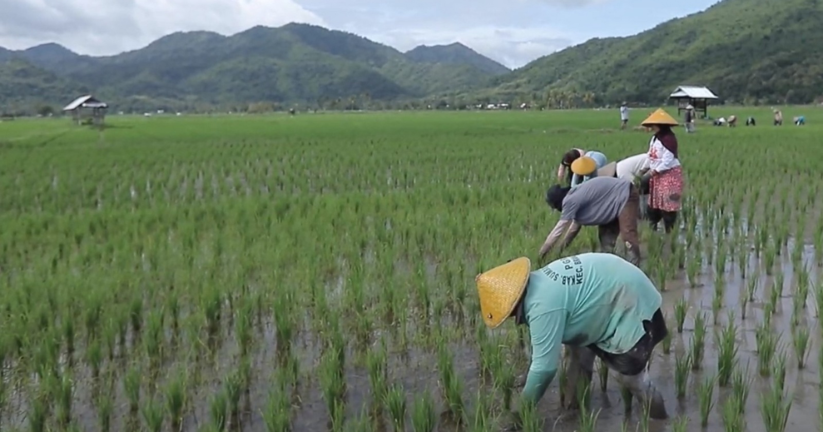 Semangat 'Marenta Barmak', Kunci Sukses Desa Manemeng Bersama BRI