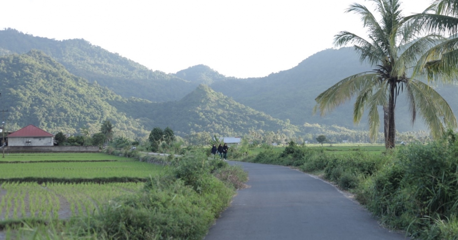 Sentuhan Digital BRI dan AgenBRILink Ubah Lanskap Ekonomi Desa Manemeng