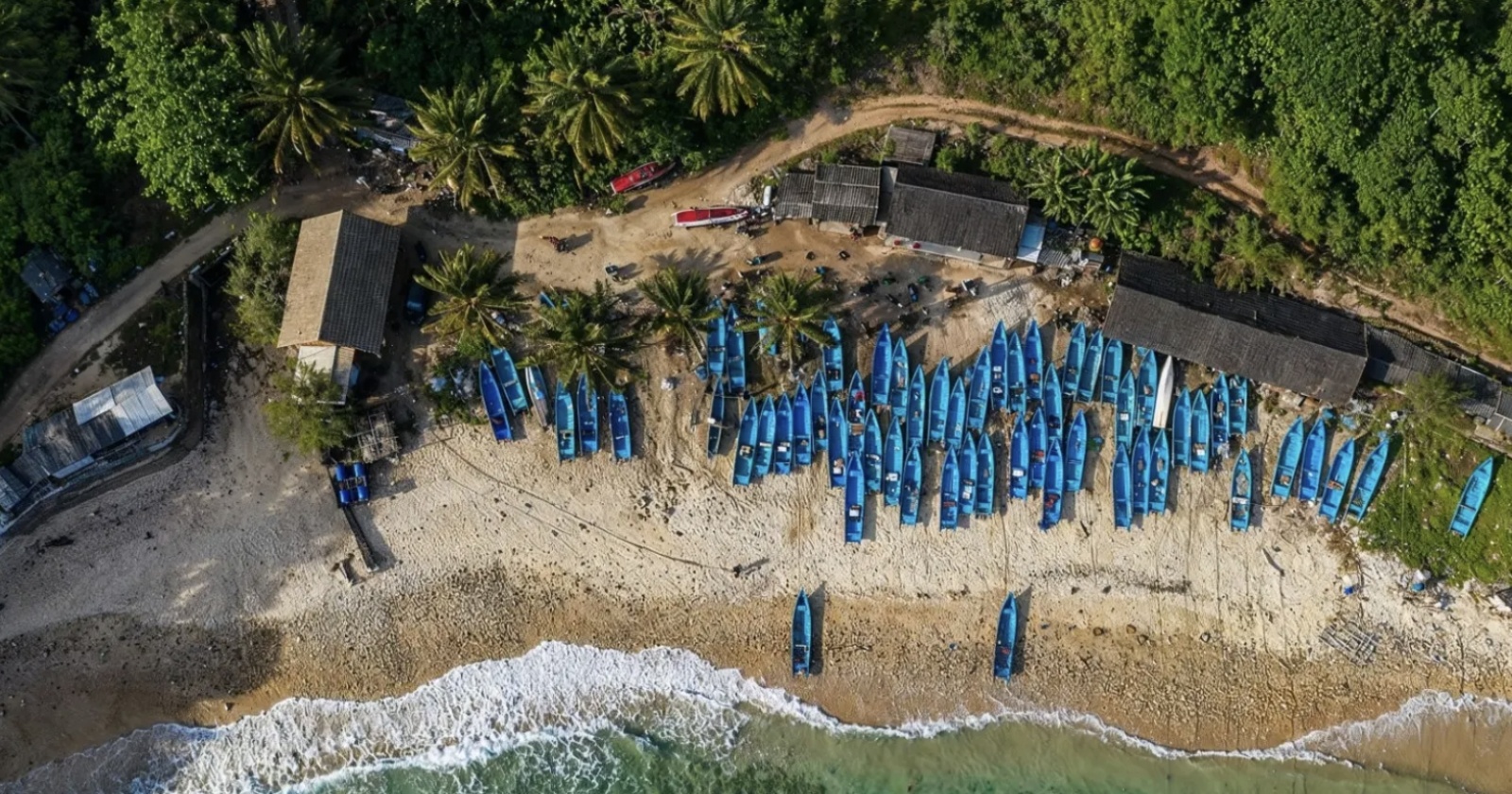 Transformasi Desa Sumberejo Menuju Kemandirian Ekonomi Bersama BRI