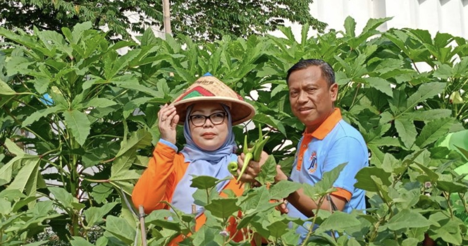 Pemkot Jaktim Perkuat Pembinaan Melon Inthanon Bersama BRI