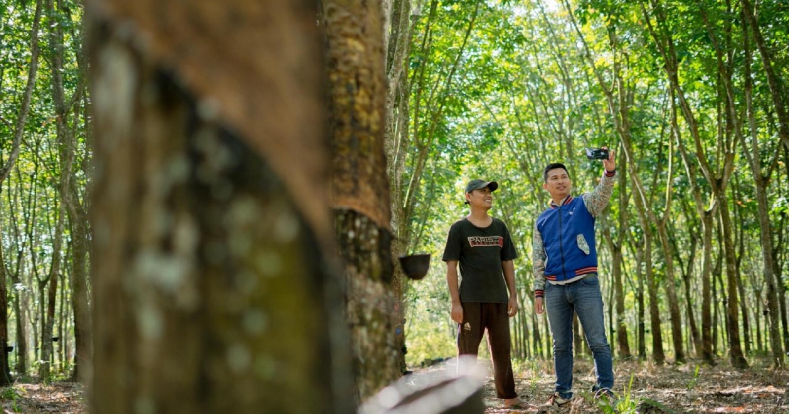 Bukan Sekadar Tren, ESG Kini Jadi 'Jantung' Strategi Bisnis BRI