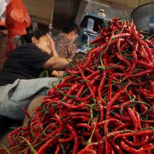 Harga Pangan Nasional Kembali Naik, Cabai Keriting Tembus Rp105 Ribu