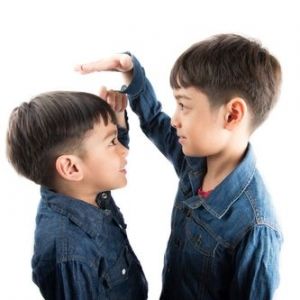 Pengertian Bonus Demografi Manfaat Hingga Dampaknya