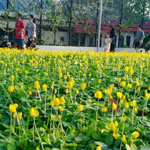 Mengisi Libur Isra Miraj Di Lapangan Banteng Bagian 5