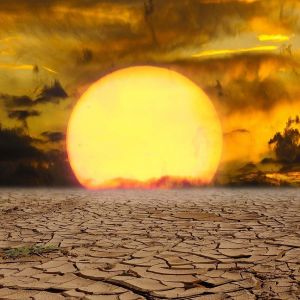 Italia Siaga Gelombang Panas Ekstrem, Suhu Tembus 40 C Korban Jiwa Berjatuhan