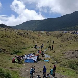Gunung Gede Pangrango Tutup Pendakian Sampai Waktu yang Belum Ditentukan