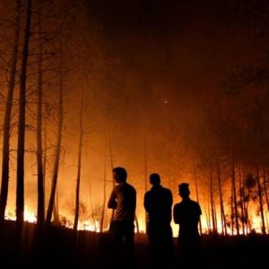 Lahan Perkebunan Indofood di Muba Terbakar, Mengapa Sumber Api Diminta Diusut?