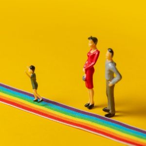 Materi Pencegahan LGBTQ Masuk Kurikulum, Diajarkan Mulai Kelas 4 SD