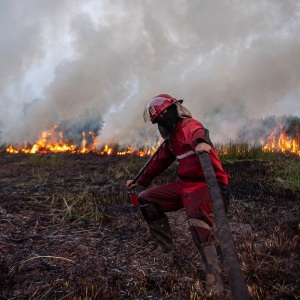 Kebakaran Lahan di Ogan Ilir Terus Meluas
