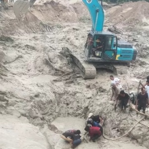 Harga Timah Tembus US$54.250, Kenapa Komoditas Ini Makin Diburu Dunia?