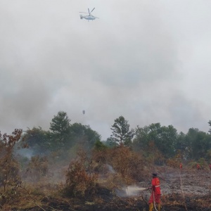 Waspada, 159 Desa dan Kelurahan Berpotensi Rawan Karhutla di Riau
