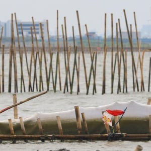 Ini Dia Penampakan Pagar Laut di Bekasi yang Menuai Polemik