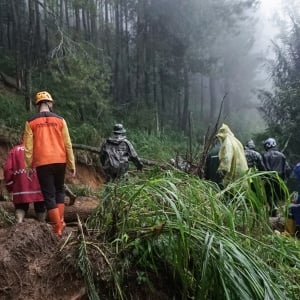 Bencana Longsor di Kabupaten Pekalongan, 17 Tewas dan 9 Masih Hilang