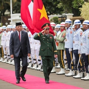 Sjafrie Sjamsoeddin Terima Kunjungan Menhan Vietnam