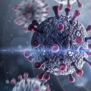 65 Kasus Flu Babi H1N1 Terdeteksi di Bandung