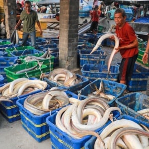 Pertumbuhan Ekonomi Indonesia Melambat, Hanya Tumbuh 4,87% pada Triwulan I 2025
