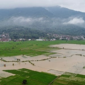 Penampakan 95 Hektar Lahan Pertanian Terendam Banjir di Ciamis
