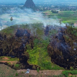 15 Hektar Hutan dan Lahan Terbakar di Limapuluhkota