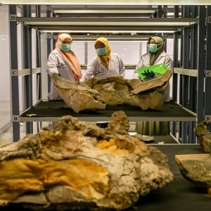 Museum Bukuran Jadi Pusat Konservasi Fosil dan Benda Purbakala