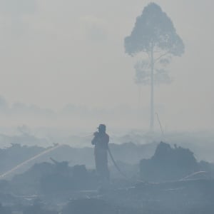 Karhutla di Jambi Meluas, 250 Hektar Lahan Terbakar