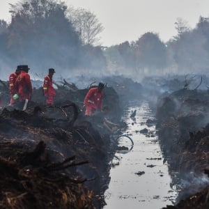 Karhutla di Muaro Jambi Masih Membara, 270 Hektar Lahan Terbakar