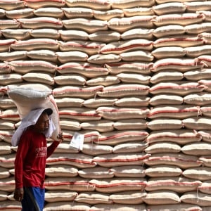 Bulog Capai 92,79% Target Serapan Gabah, Stok Beras Aman