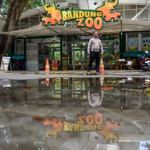Konflik Pengelola, Bandung Zoo Ditutup Sementara