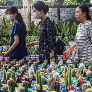Melihat Beragam Tanama Hias di Flona 2025