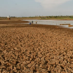 Dilanda Kemarau, Waduk Dawuhan Madiun Mengering