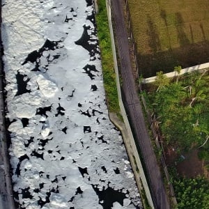 Penampakan Busa Putih Penuhi Sungai Kalisari di Surabaya
